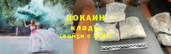 сатива Аркадак