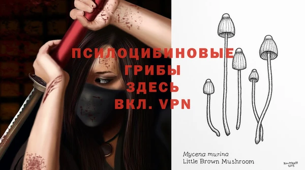 таблы Армянск