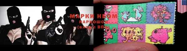 сатива Аркадак