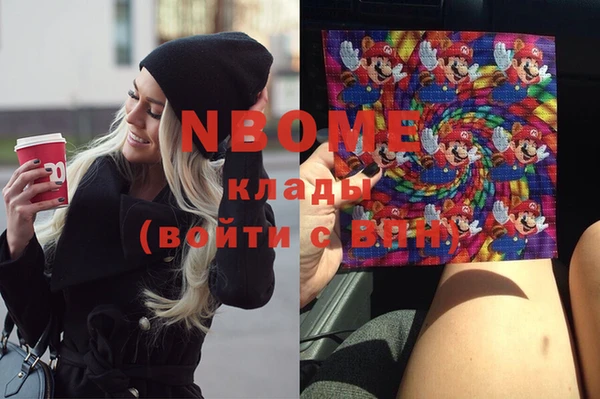 сатива Аркадак