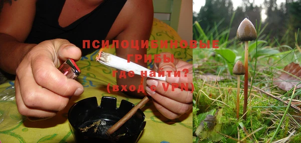 сатива Аркадак