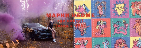 сатива Аркадак