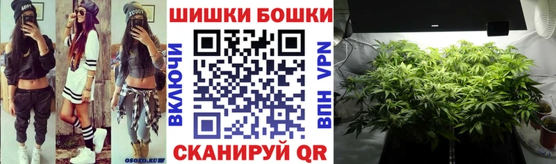 Каннабис OG Kush  где можно купить   Рославль 